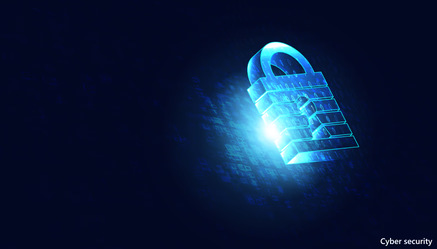 Private and secure digital space